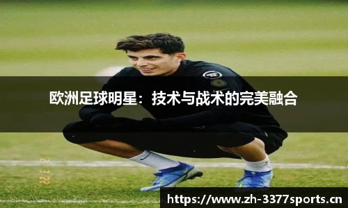 3377体育官网