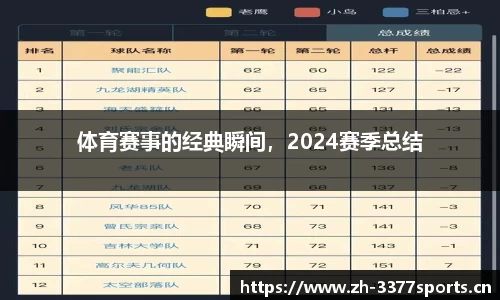 体育赛事的经典瞬间，2024赛季总结