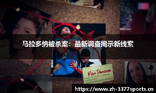 3377体育官方网站