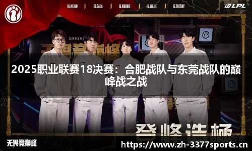 2025职业联赛18决赛：合肥战队与东莞战队的巅峰战之战